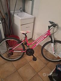 Mtb 24