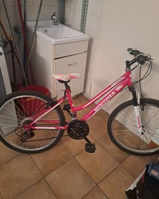 Mtb 24