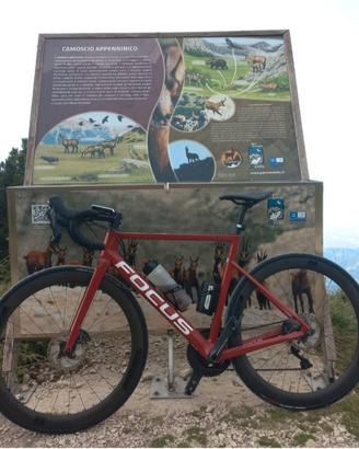 Bicicletta da strada