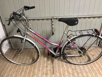 Bicicletta Steel Rider