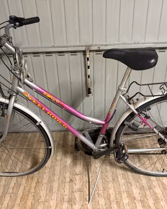 Bicicletta Steel Rider