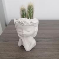 vasi in gesso porta pianta 