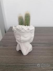 vasi in gesso porta pianta 