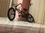 Immagine 1