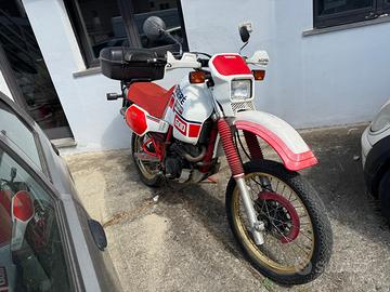 Yamaha XT 600 Teneree 1VJ