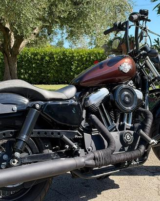 Harley-davidson Sportster 1200 Forty Eight XL1200X