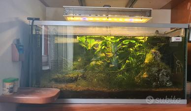 Acquario 200 Litri