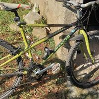 Bianchi Ragno Pholcus