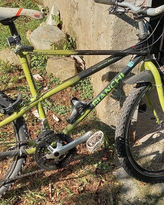 Bianchi Ragno Pholcus