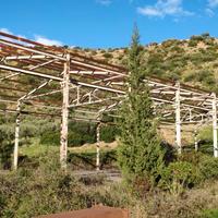 PU.LG 5/2023 Trib Patti