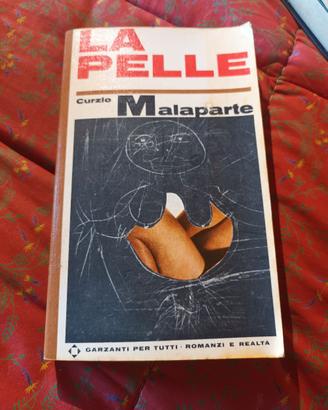 romanzo 