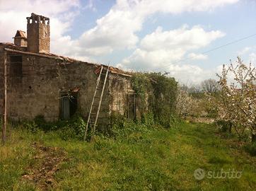 Rustico con annesso terreno a frutteto