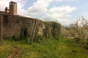 Rustico con annesso terreno a frutteto