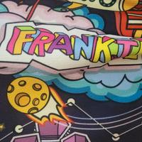 Felpa multicolor  Frankie Garage