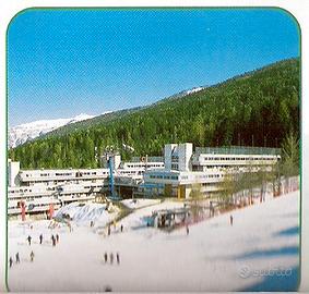 Multiproprietà Residence il Vigo Marilleva 1400