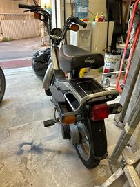 Piaggio grillo