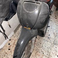 Plastiche scarabeo 99