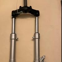 Forcella phantom f12