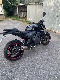 Hornet