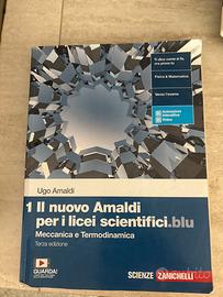 1 Il nuovo Amaldi per licei scientifici.blu