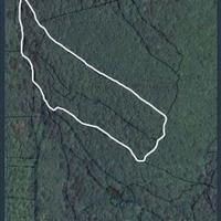 Terreno agricolo a Bosco Chiesanuova