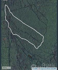 Terreno agricolo a Bosco Chiesanuova