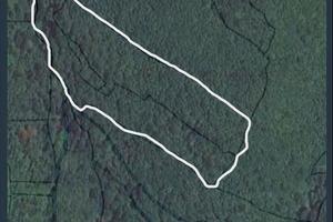 Terreno agricolo a Bosco Chiesanuova