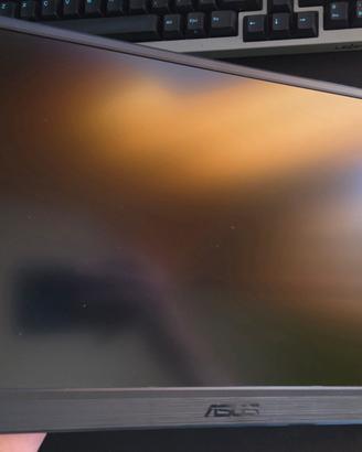 ASUS ZenScreen MB169CK