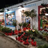 Negozio di fiori davanti ospedale Sant'Antonio