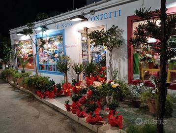 Negozio di fiori davanti ospedale Sant'Antonio