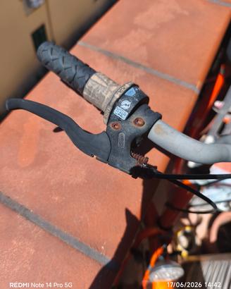 da collezione,vintage,bicicletta donna anni 90