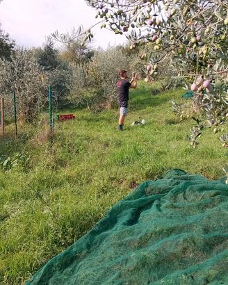 Uliveto Montecompatri