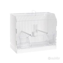 Gabbia da esposizione 