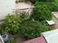 Immagine 12