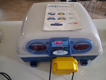incubatrice Borotto Real 49 automatica.