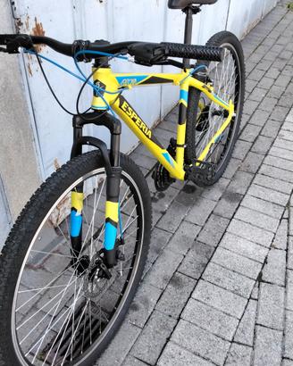 che bike cerchi e quanto vuoi spendere?