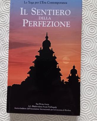 Il sentiero della perfezione. Lo Yoga per l'era