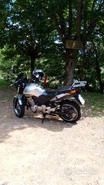 honda cbf500