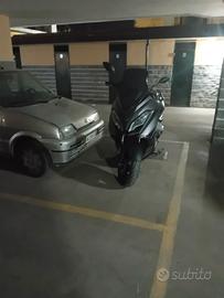 Wottan Motor Storm-S 300 - 2022