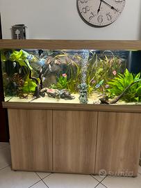 Acquario juwel rio 450