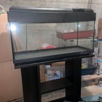 Acquario 70lt + mobile