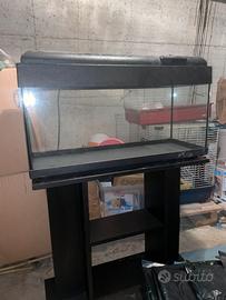 Acquario 70lt + mobile