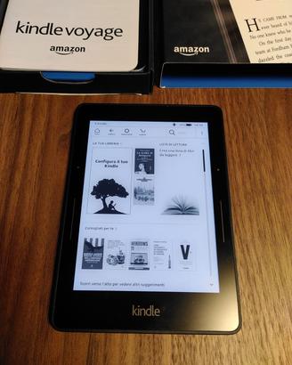 Kindle Voyage ebook