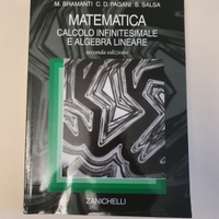 Matematica calcolo infinitesimale e algebra linear