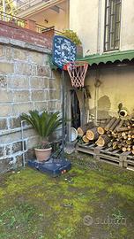 Canestro tarmak