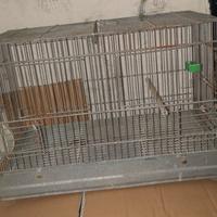 gabbie per uccellini