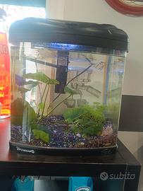 acquario completo