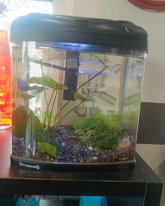 acquario completo