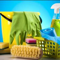 Addetta alle pulizie