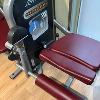 Leg curl e leg extension